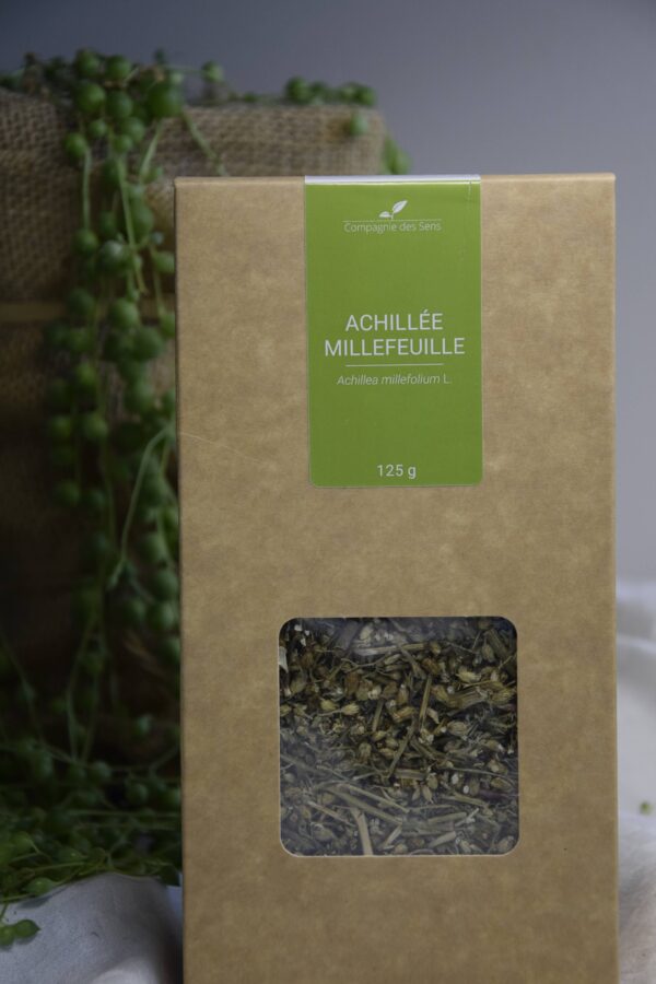 Tisane Achillée Millefeuille règles