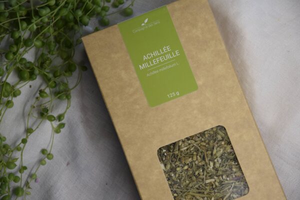 Tisane Achillée Millefeuille