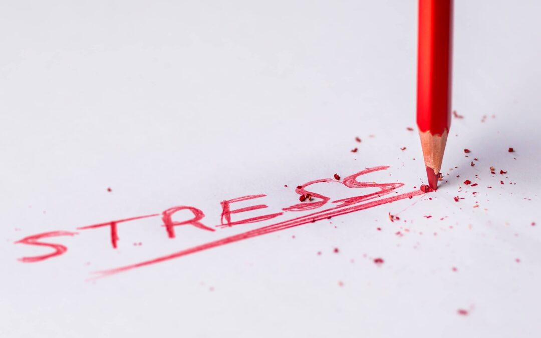 L’impact du Stress sur le Cycle Menstruel